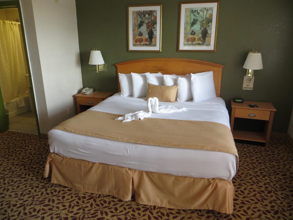 Roomba Inn & Suites - Daytona Beach Room photo