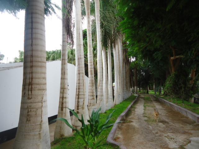 Hotel La Maison Suisse Nazca Exterior photo