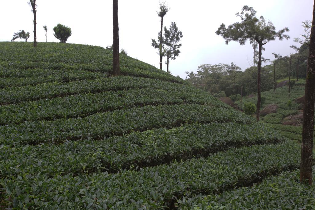 Grand Plaza Hotel Munnar Exterior photo