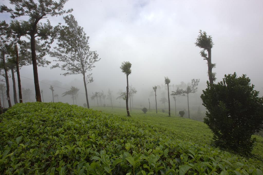 Grand Plaza Hotel Munnar Exterior photo