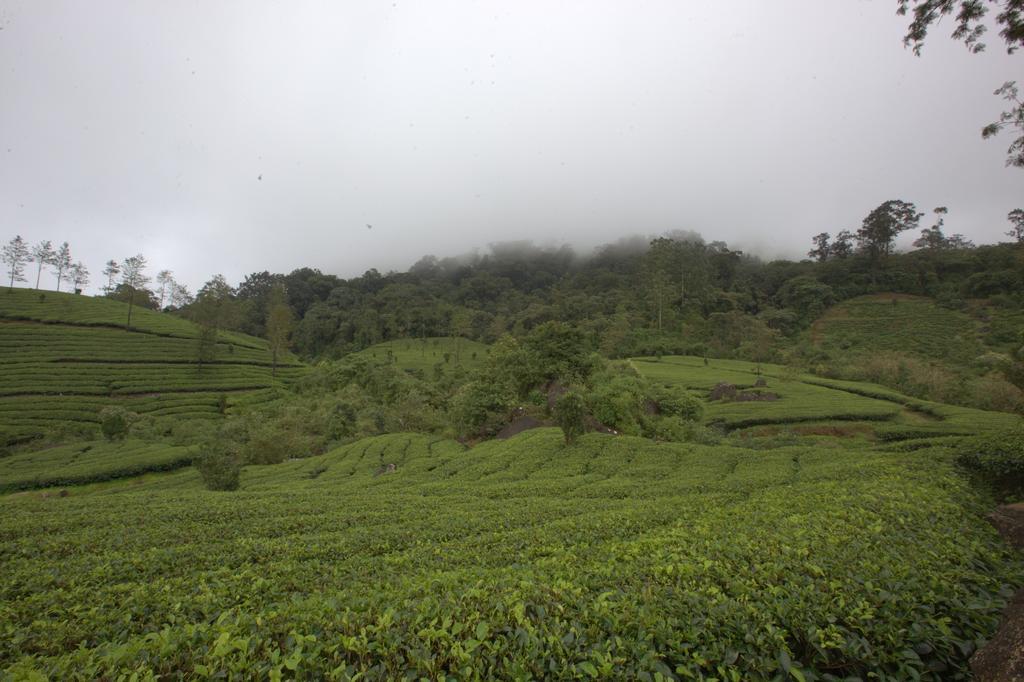 Grand Plaza Hotel Munnar Exterior photo