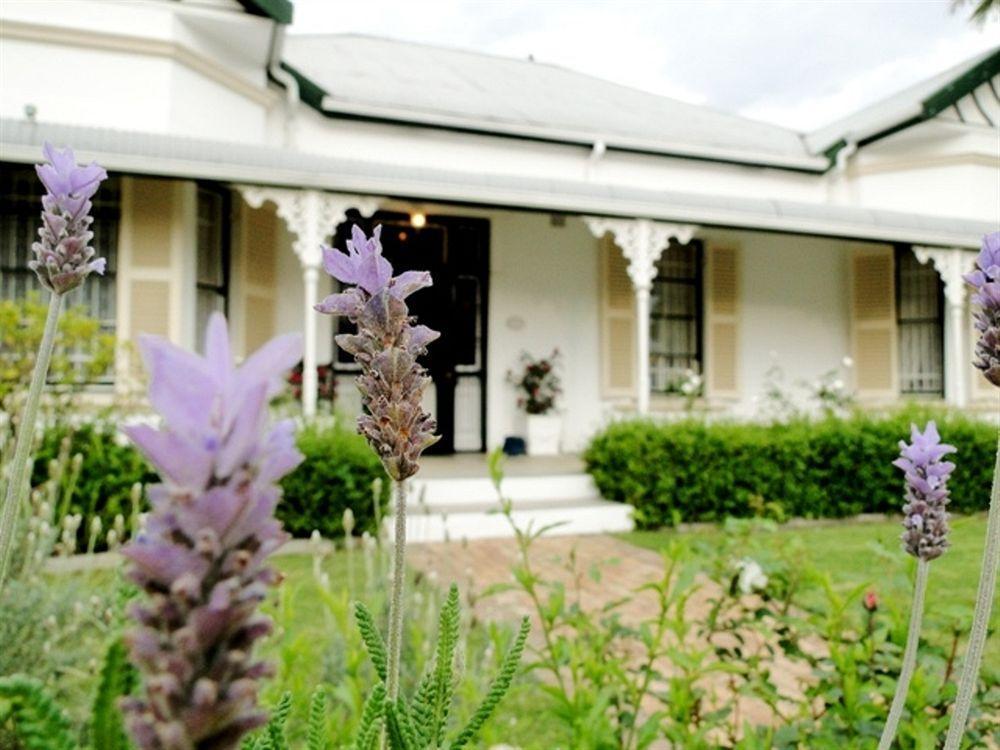 Fynbos Villa Guest House Stellenbosch Exterior photo