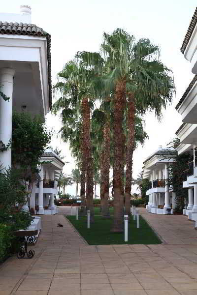 Dessole Seti Sharm Palm Beach Resort Exterior photo
