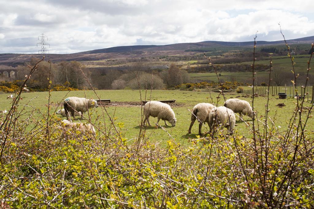 Leanach Farm Bed & Breakfast Inverness Exterior photo