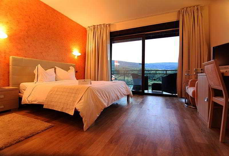 Hotel Sunny Hill Cluj-Napoca Room photo
