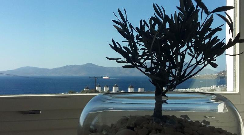 Ilio Maris Hotel Mykonos Town Exterior photo