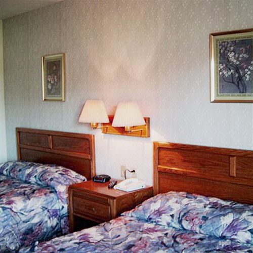 Oyo Hotel Chesaning Route 52 & Hwy 57 Room photo