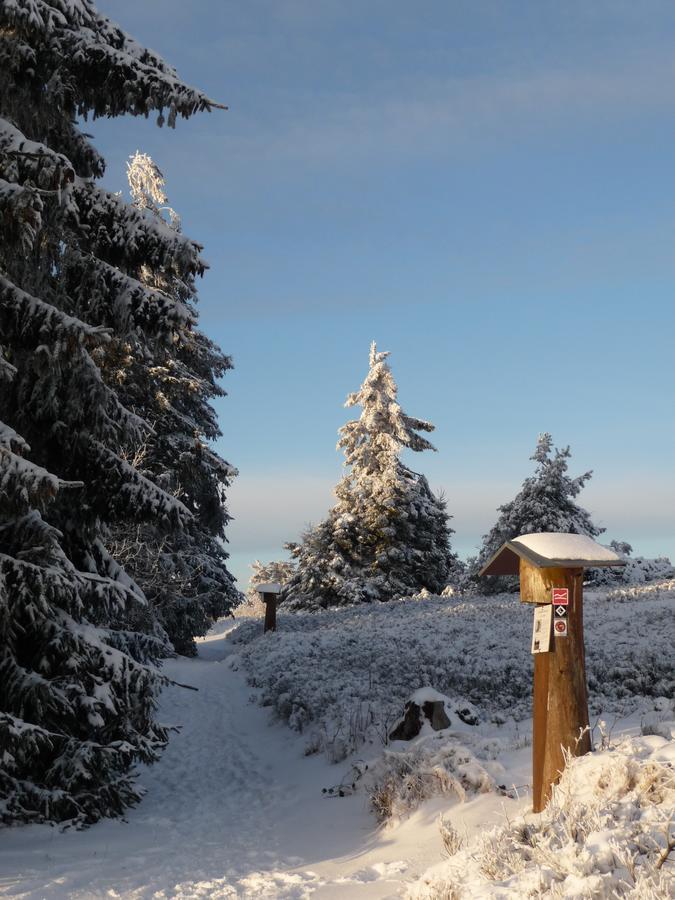 Berghotel Hoher Knochen Winterberg Exterior photo