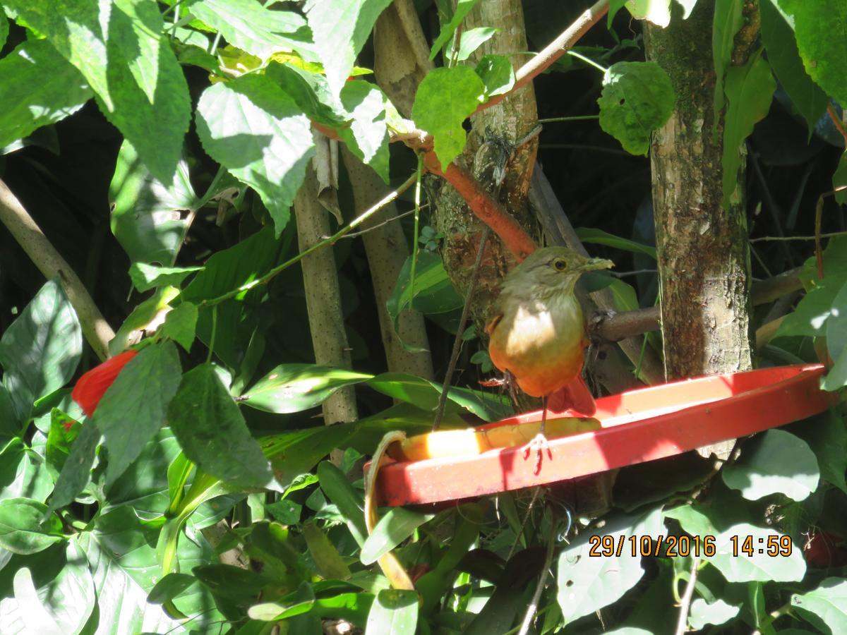 Colibri Resort Ilha Grande  Exterior photo