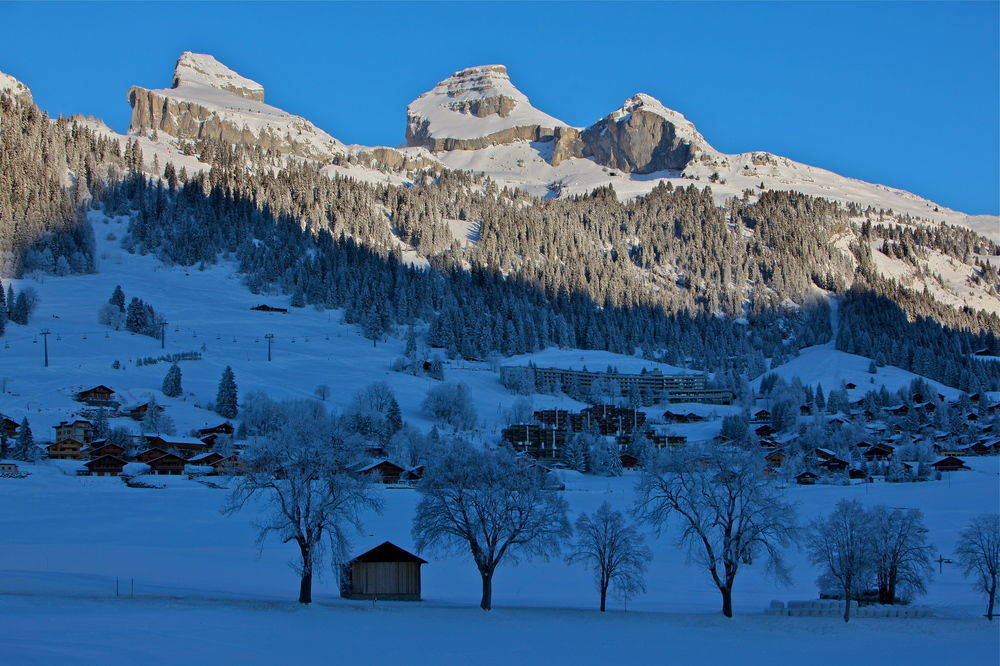 Hotel La Tour D'Ai Leysin Exterior photo