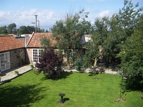 Yew Tree House - B&B Burnham-on-Sea Exterior photo