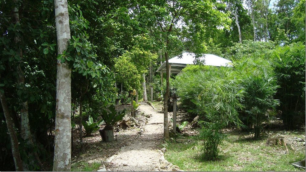 Maya Zac Peten Jungle Lodge El Remate Exterior photo