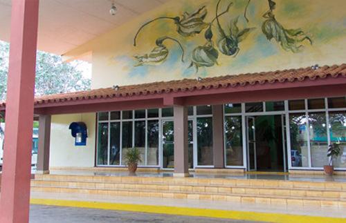 Yagrumas San Antonio de Los Banos Exterior photo