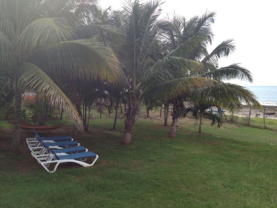 Marblue Hotel Treasure Beach Exterior photo