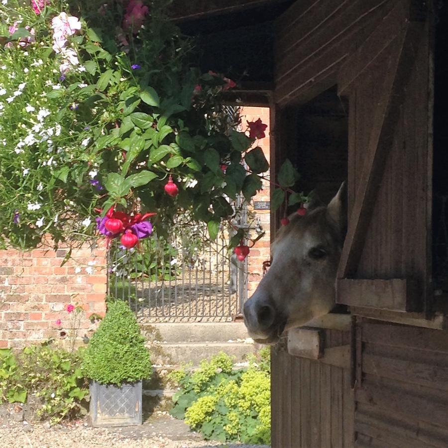 Blounts Court Farm Bed & Breakfast Devizes Exterior photo