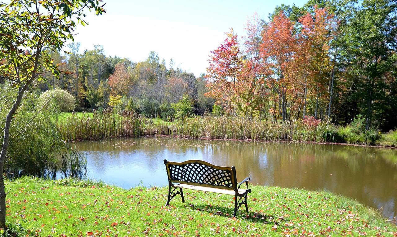 Briarwood Bed & Breakfast Elmsdale Room photo