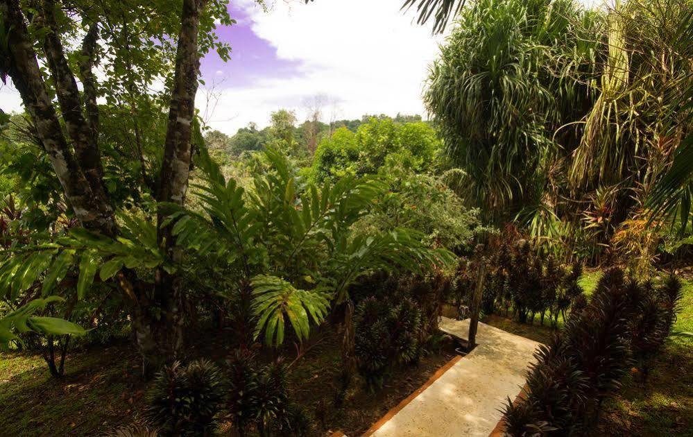 Rancho Corcovado Lodge Drake Bay Exterior photo