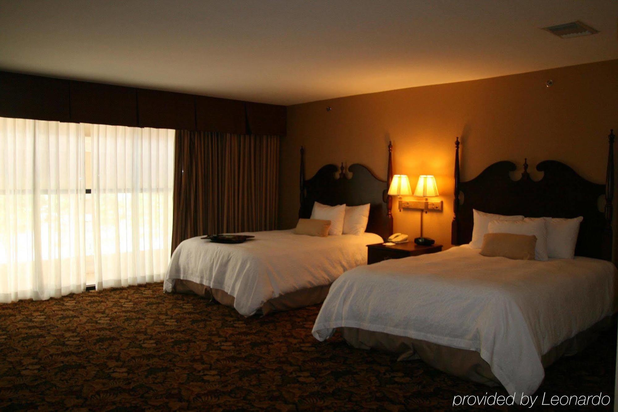 Hampton Inn & Suites Del Rio Room photo