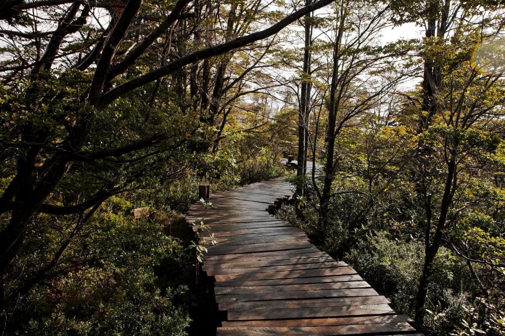 Patagonia Camp Hotel Torres del Paine National Park Exterior photo