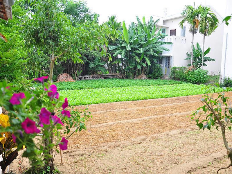 Petunia Garden Homestay And Hostel Hoi An Exterior photo