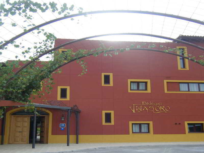 Hotel Chateau Vinasoro Alcazar de San Juan Exterior photo