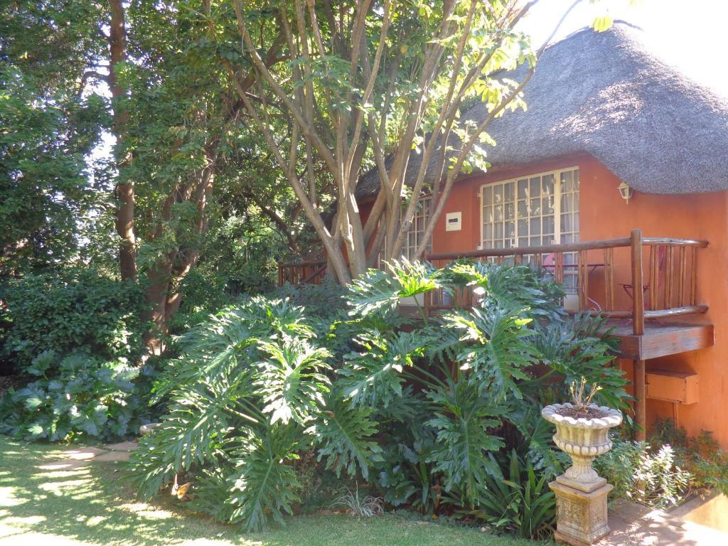 Treetops & Treats Guest House Pretoria Exterior photo