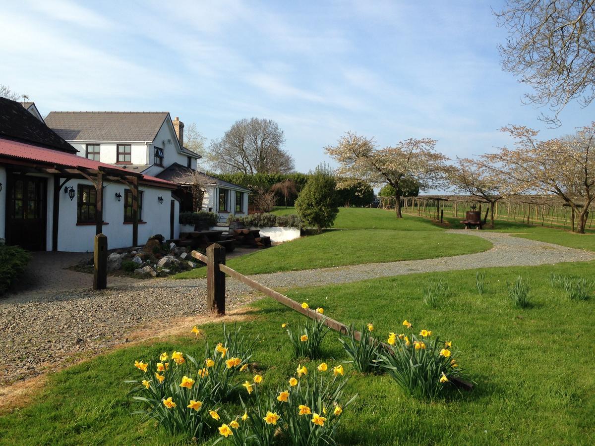 Jabajak Vineyard Restaurant & Rooms Whitland Exterior photo