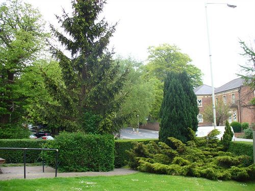 Harewood Lodge Guest House Darlington  Exterior photo