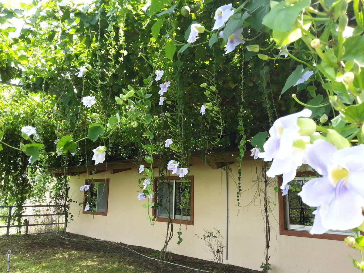 Yi He Golden Homestay Shoufeng Exterior photo