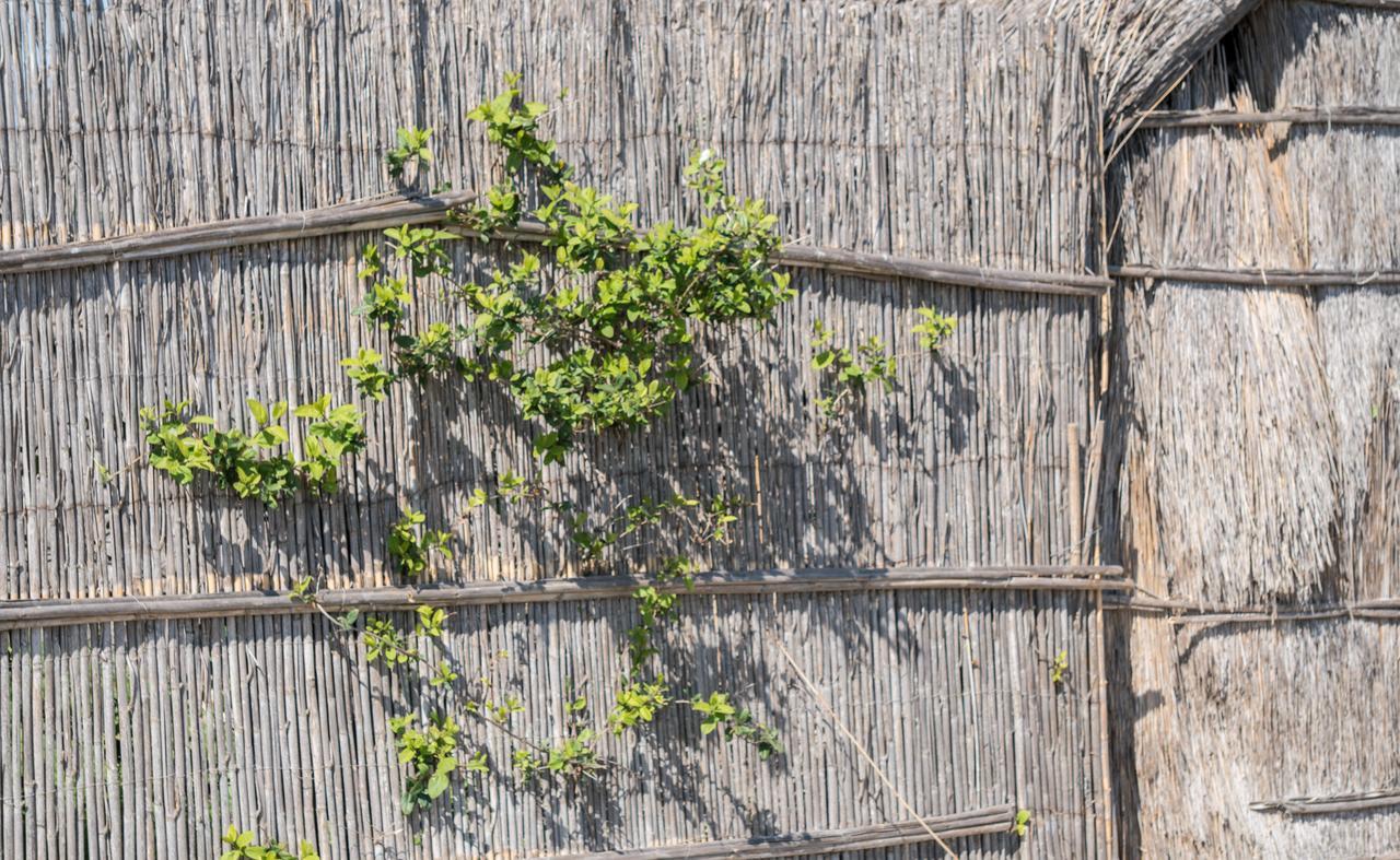 Ibis Styles Perpignan Canet En Roussillon Exterior photo