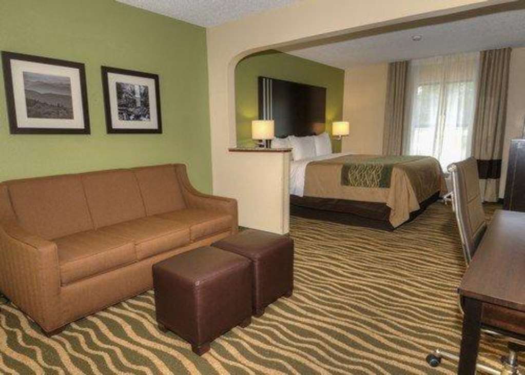 Comfort Inn Marion Near Downtown & Blue Ridge Pkwy Room photo