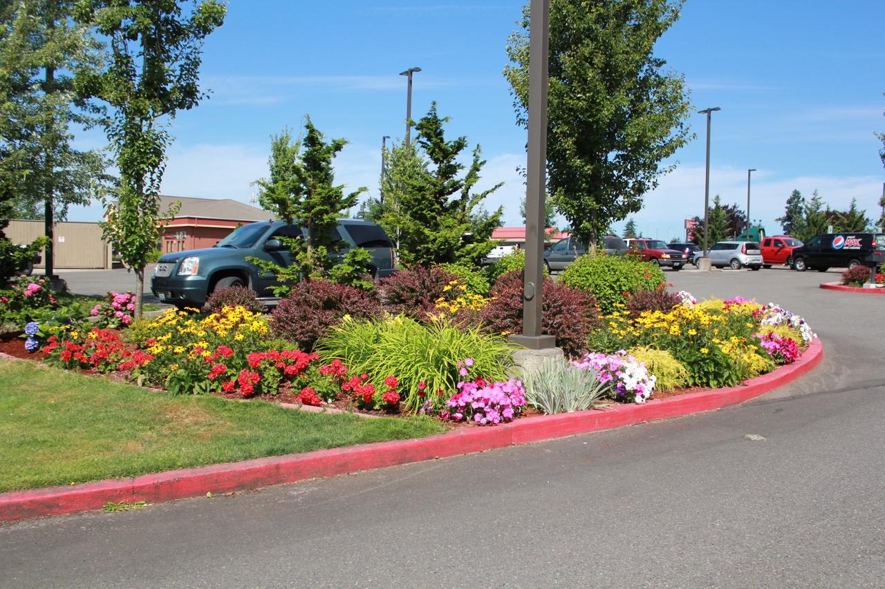 Best Western Plus Lacey Inn & Suites Exterior photo