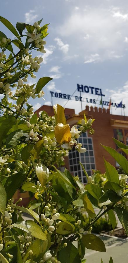 Hotel Torre De Los Guzmanes La Algaba Exterior photo