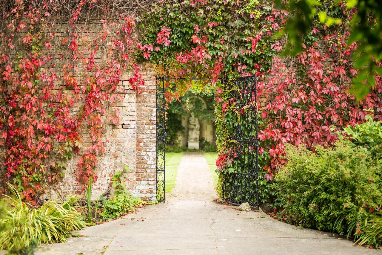 Eastwell Manor, Champneys Hotel & Spa Ashford  Exterior photo