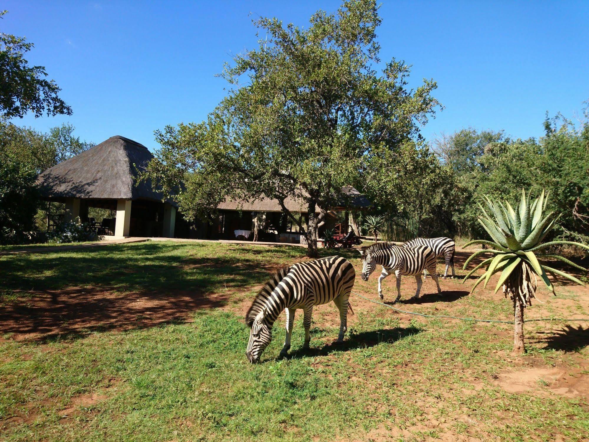 Royal Kruger Lodge Marloth Park Exterior photo