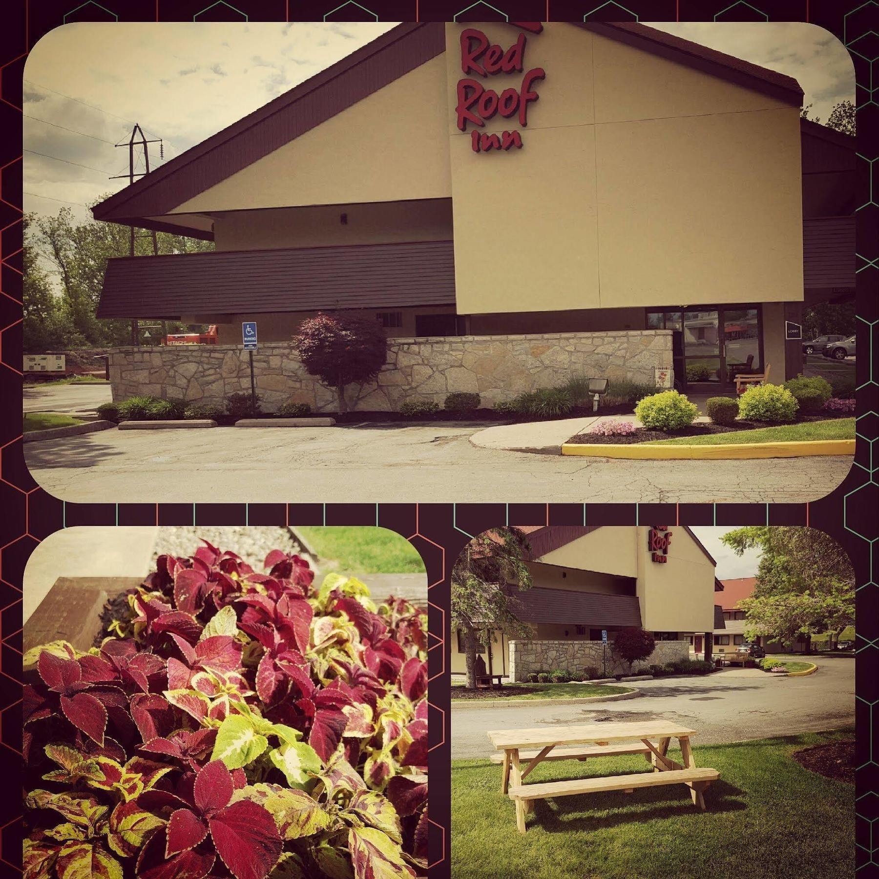 Red Roof Inn Utica Exterior photo