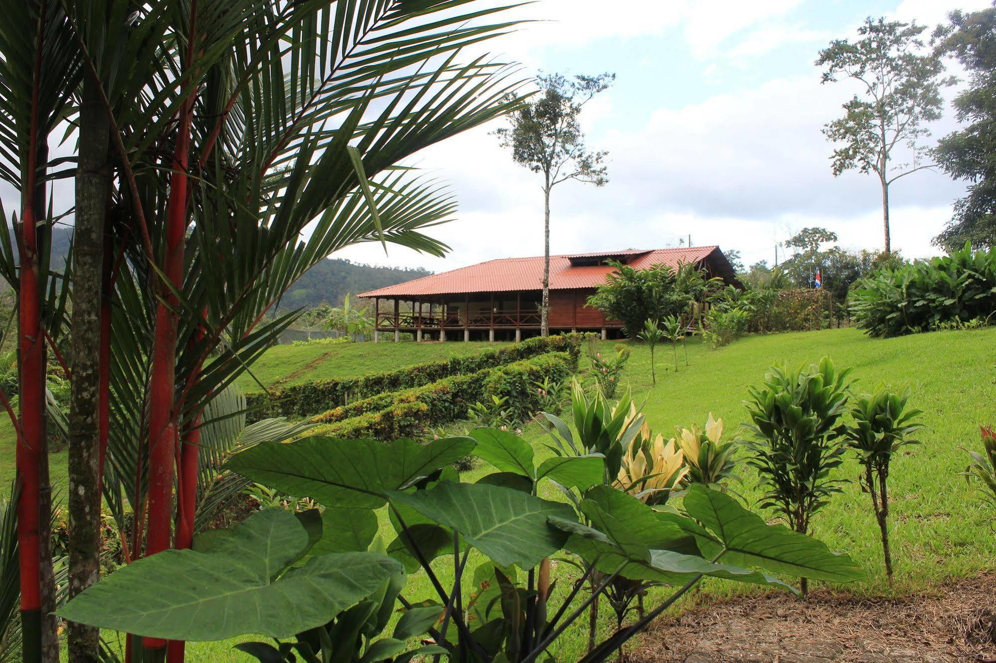 La Anita Rain Forest Colonia Dos Rios Exterior photo