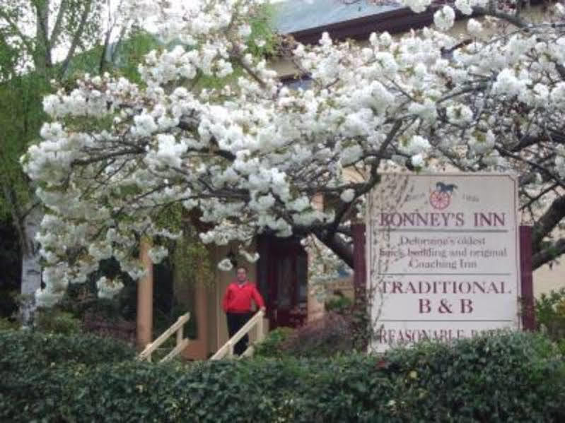 Bonneys Inn Deloraine Exterior photo