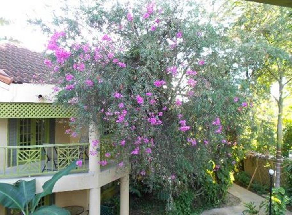 Sea Splash Resort Negril Exterior photo