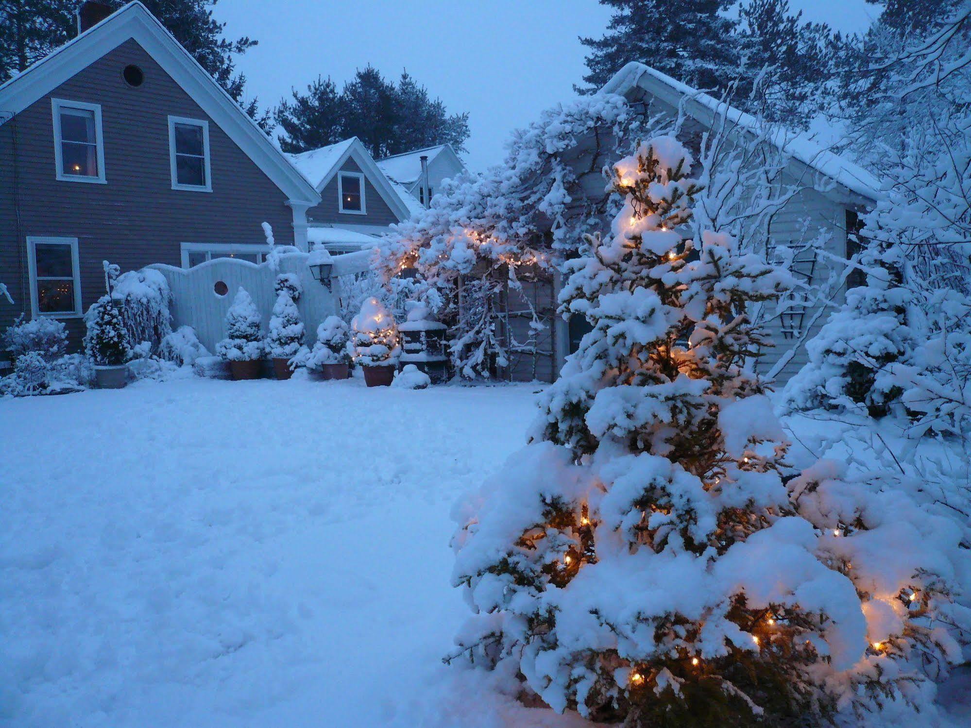 Le Vatout Bed & Breakfast Waldoboro Exterior photo