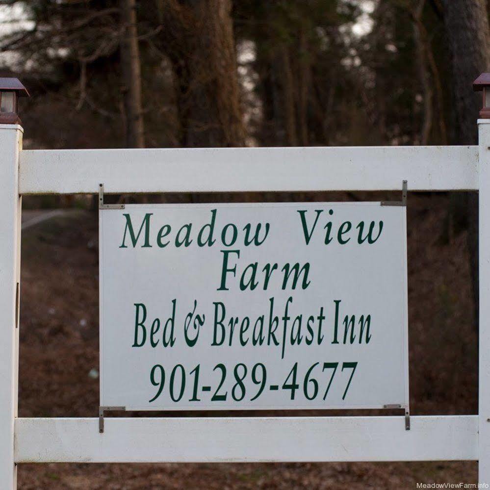 Meadow View Farm Bed & Breakfast Hernando Exterior photo