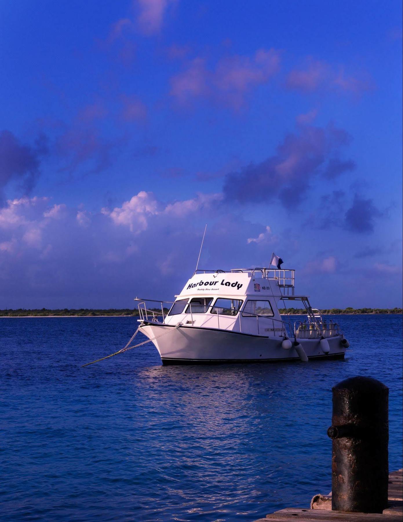 Buddy Dive Resort Kralendijk  Exterior photo