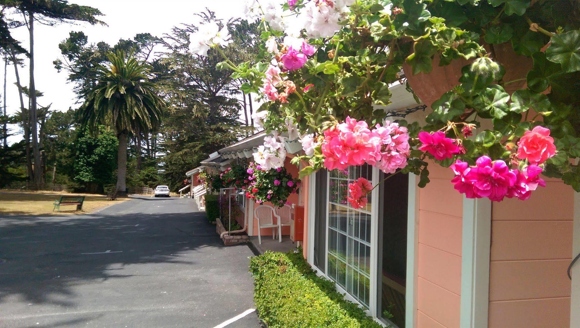 Butterfly Grove Inn Pacific Grove Exterior photo