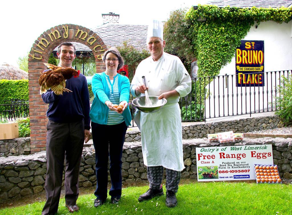 Fitzgeralds Woodlands House Hotel Adare Exterior photo