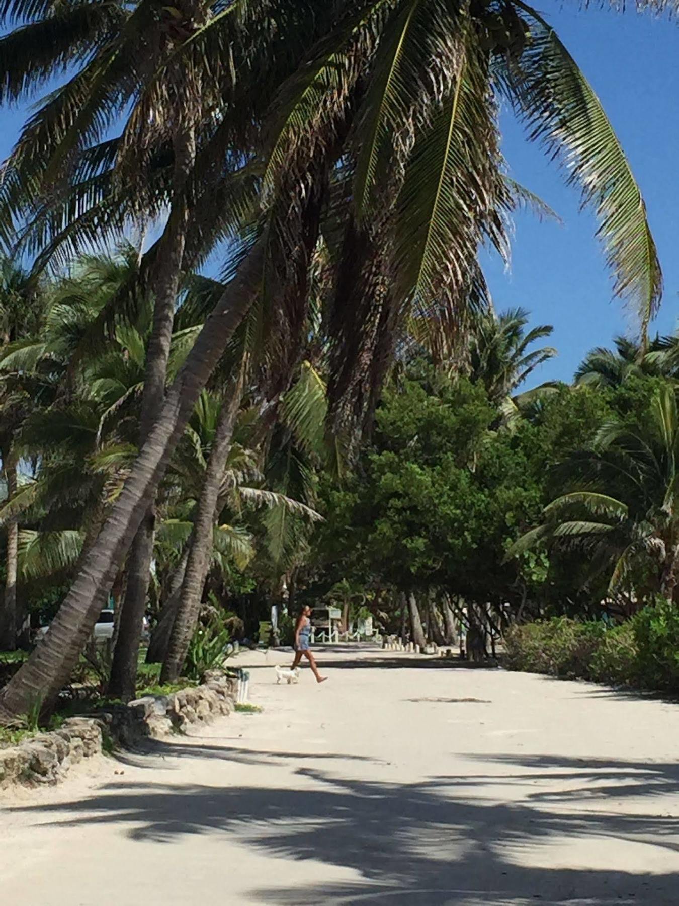 Caye Casa Hotel San Pedro  Exterior photo