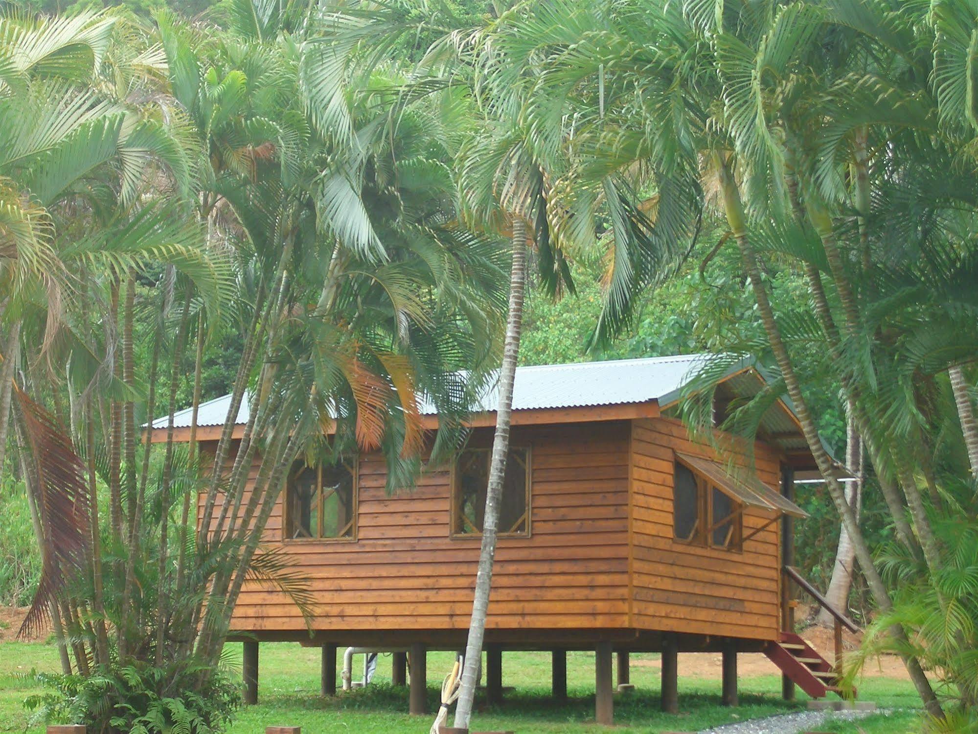 Daintree Rainforest Bungalows Villa Cow Bay Exterior photo