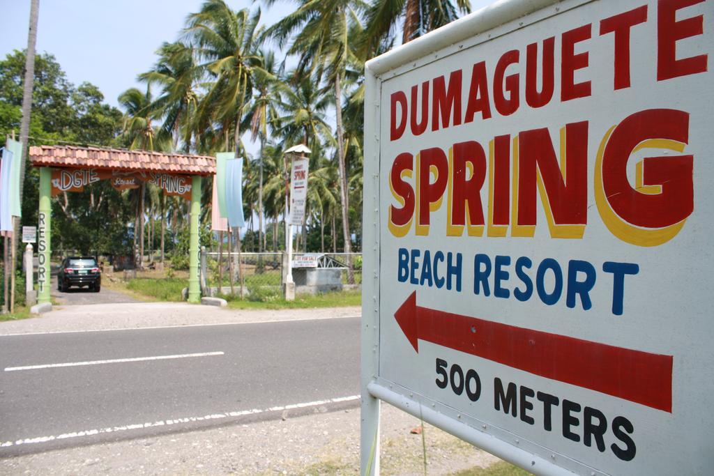 Dumaguete Springs Beach Resort Dumaguete City Exterior photo
