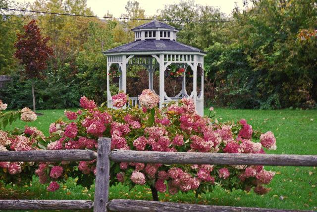 Alexandra Bed And Breakfast Inn Bennington Exterior photo