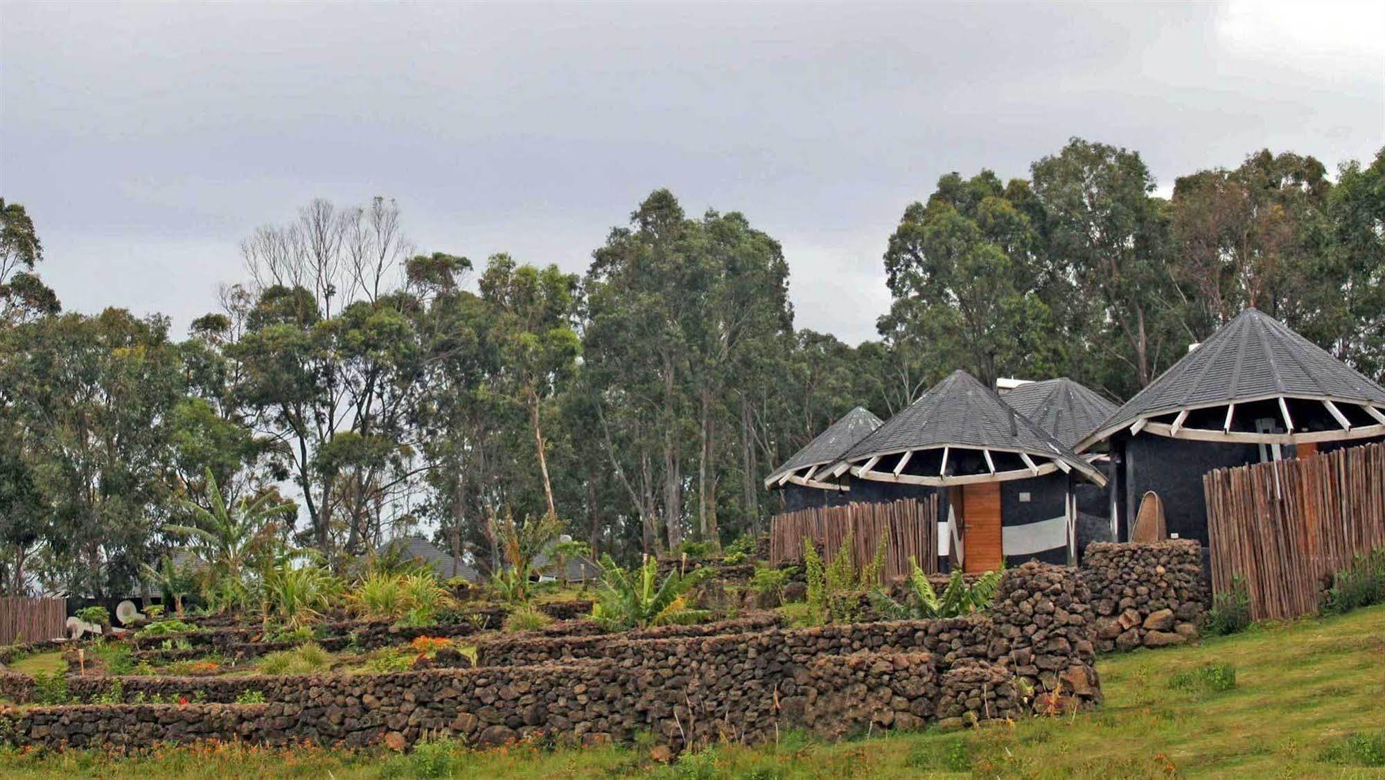 Altiplanico Isla De Pascua Hotel Hanga Roa Exterior photo