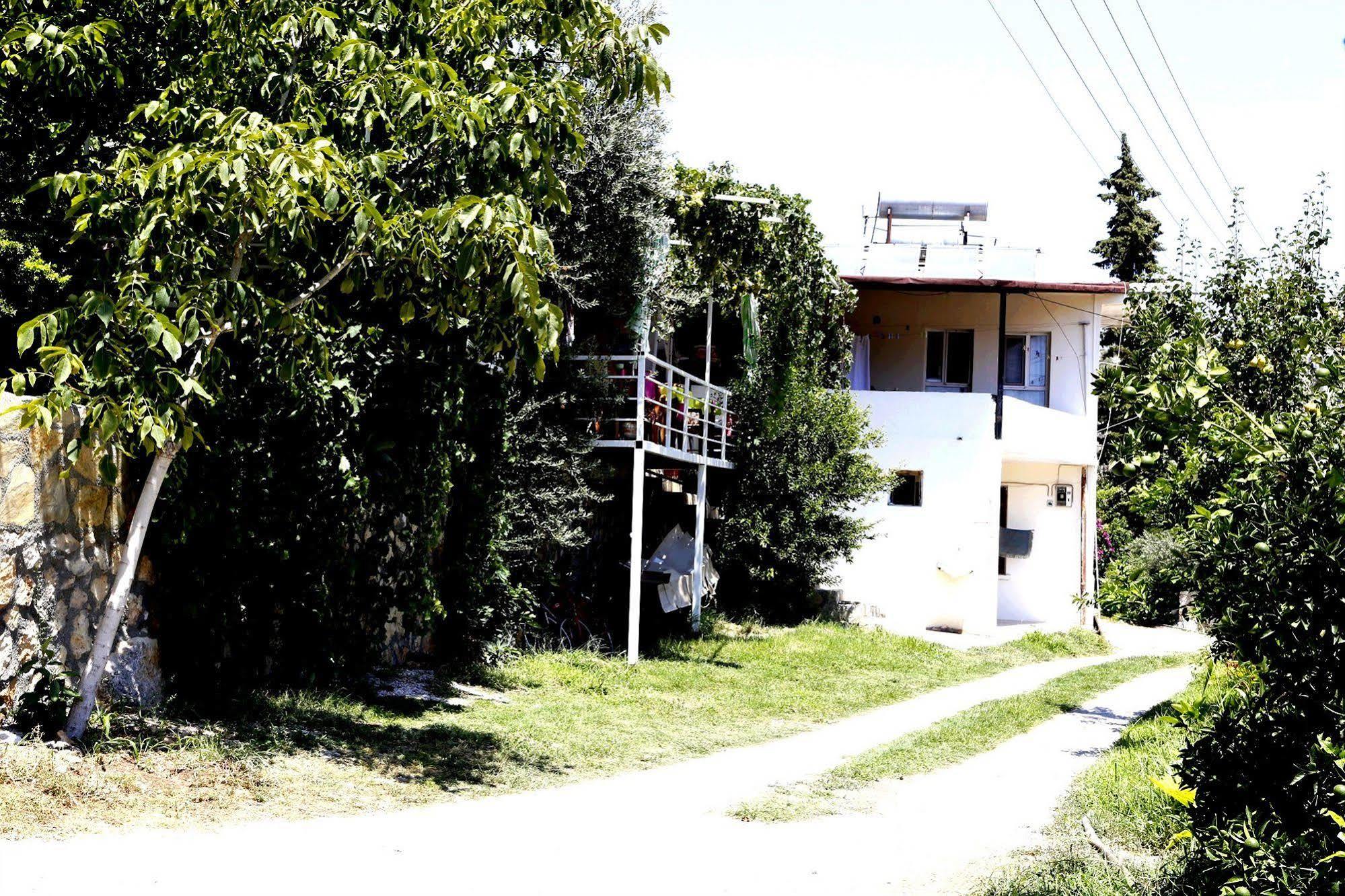 Rose Pension Patara Exterior photo